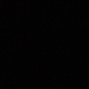 Meet your Posher, Brady